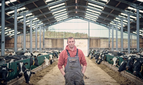 Markus Kronthaler standing in front of a group of cows